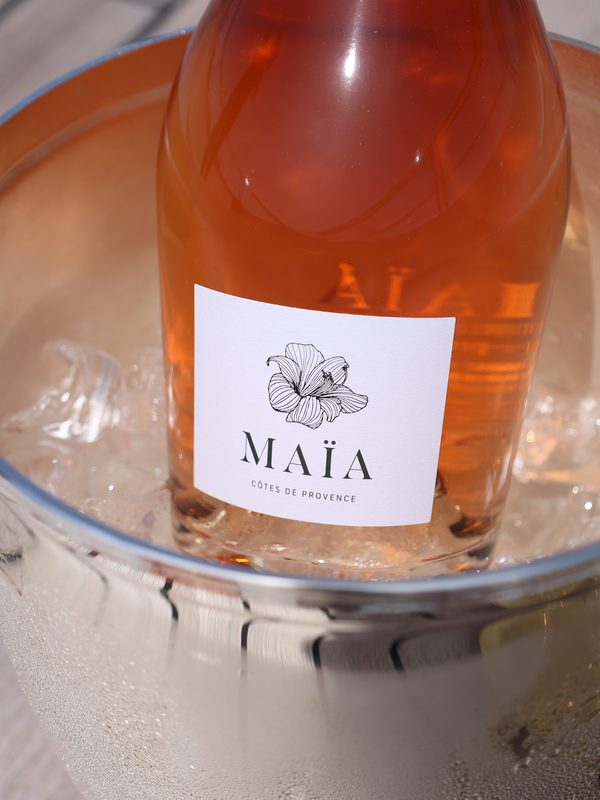 Maïa rosé chilling on ice