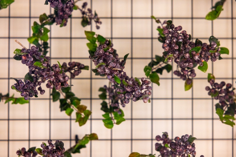 Blackcurrant foliage suspended from the ceiling above the Ribena kitchen